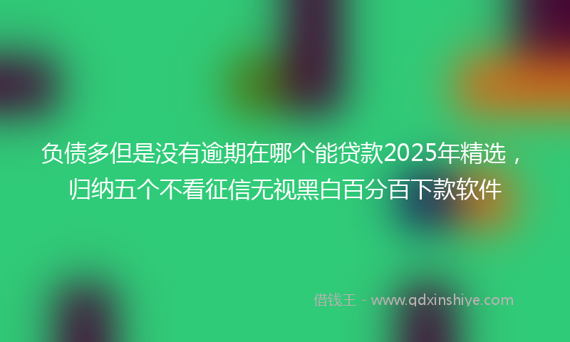 负债多但是没有逾期在哪个能贷款2025年精选，归纳五个不看征信无视黑白百分百下款软件