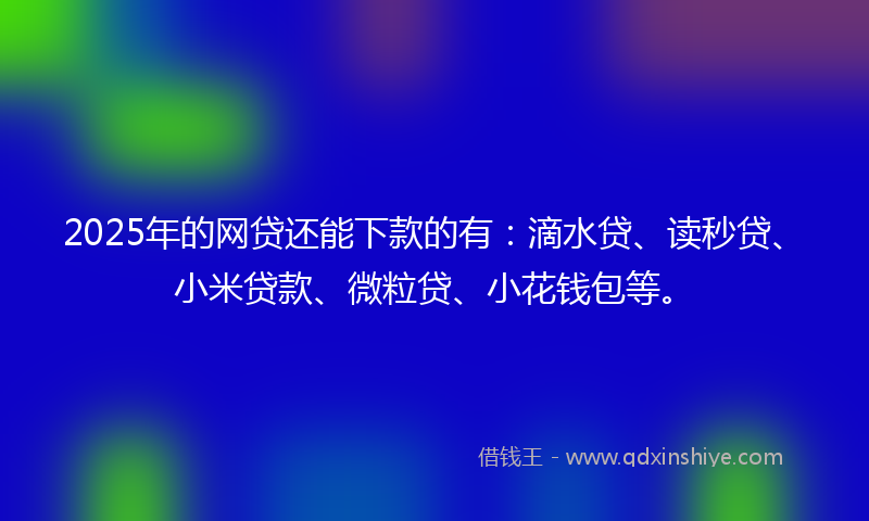 2025年的网贷还能下款的有：滴水贷、读秒贷、小米贷款、微粒贷、小花钱包等。