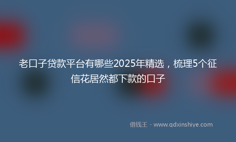 老口子贷款平台有哪些2025年精选，梳理5个征信花居然都下款的口子