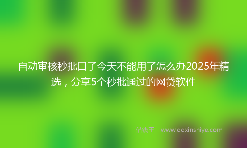 自动审核秒批口子今天不能用了怎么办2025年精选，分享5个秒批通过的网贷软件