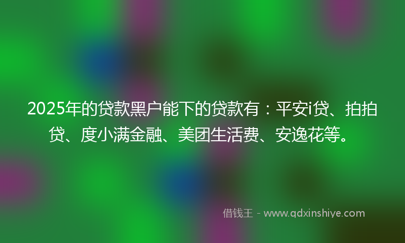 2025年的贷款黑户能下的贷款有：平安i贷、拍拍贷、度小满金融、美团生活费、安逸花等。