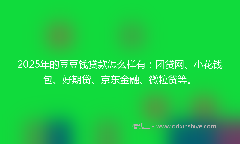 2025年的豆豆钱贷款怎么样有：团贷网、小花钱包、好期贷、京东金融、微粒贷等。