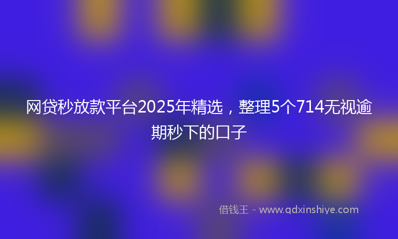 网贷秒放款平台2025年精选，整理5个714无视逾期秒下的口子