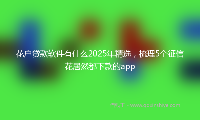 花户贷款软件有什么2025年精选，梳理5个征信花居然都下款的app