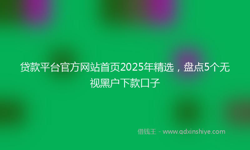 贷款平台官方网站首页2025年精选，盘点5个无视黑户下款口子