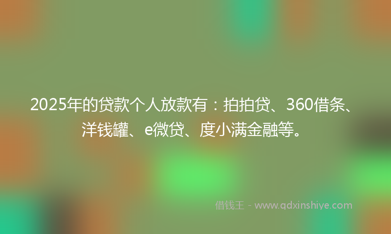 2025年的贷款个人放款有：拍拍贷、360借条、洋钱罐、e微贷、度小满金融等。