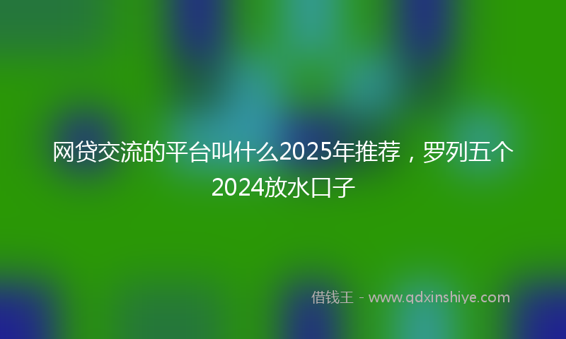 网贷交流的平台叫什么2025年推荐，罗列五个2024放水口子