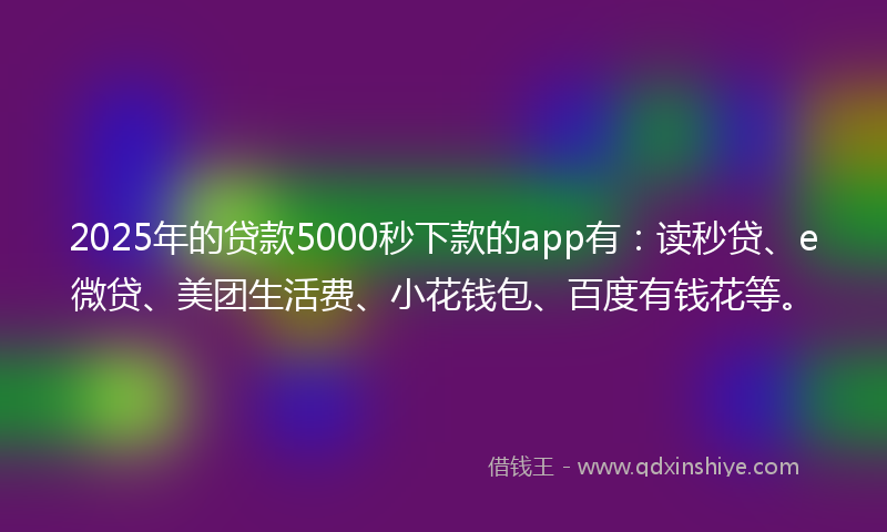 2025年的贷款5000秒下款的app有：读秒贷、e微贷、美团生活费、小花钱包、百度有钱花等。