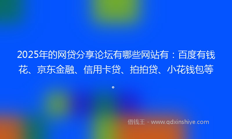 2025年的网贷分享论坛有哪些网站有：百度有钱花、京东金融、信用卡贷、拍拍贷、小花钱包等。