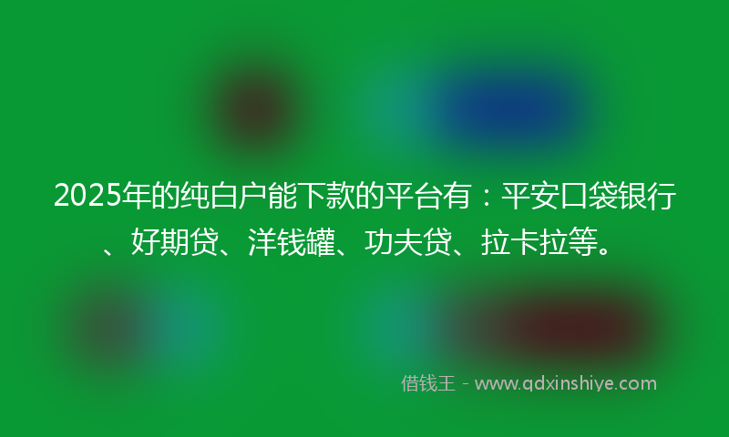2025年的纯白户能下款的平台有：平安口袋银行、好期贷、洋钱罐、功夫贷、拉卡拉等。