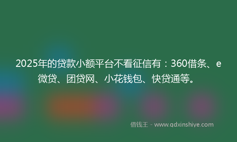 2025年的贷款小额平台不看征信有：360借条、e微贷、团贷网、小花钱包、快贷通等。