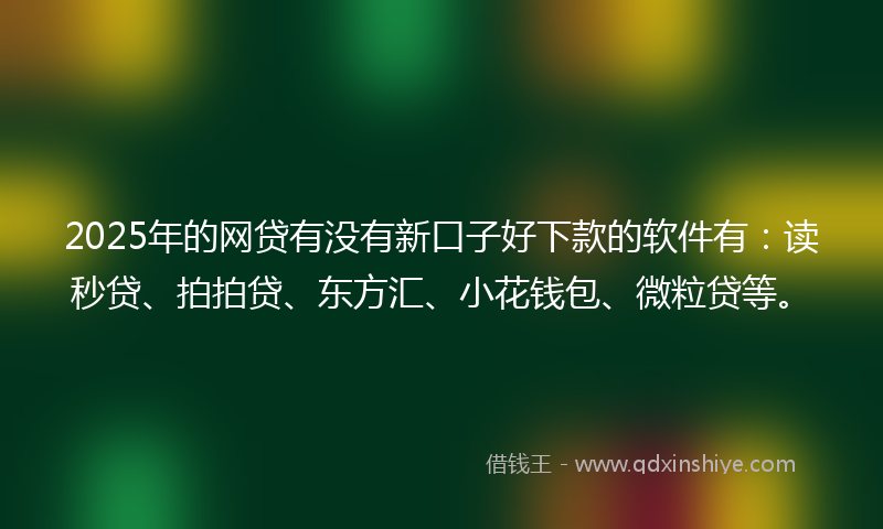 2025年的网贷有没有新口子好下款的软件有：读秒贷、拍拍贷、东方汇、小花钱包、微粒贷等。