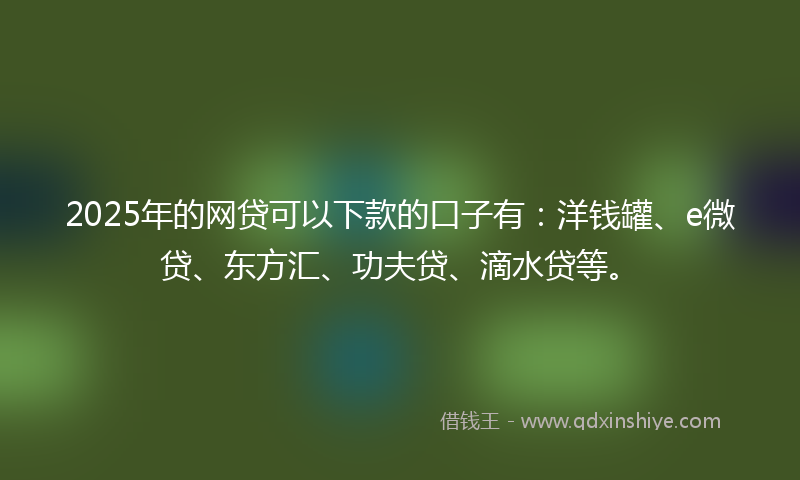 2025年的网贷可以下款的口子有：洋钱罐、e微贷、东方汇、功夫贷、滴水贷等。