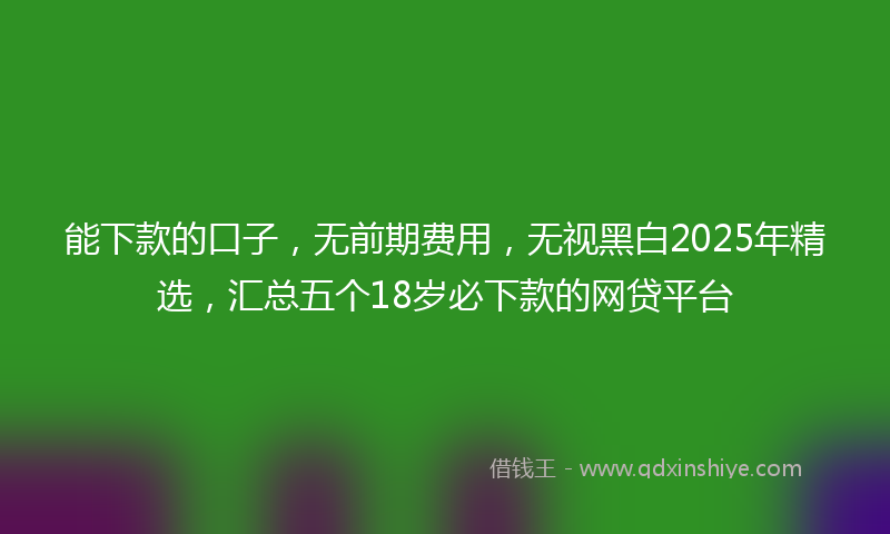 能下款的口子，无前期费用，无视黑白2025年精选，汇总五个18岁必下款的网贷平台