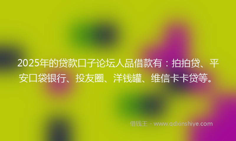 2025年的贷款口子论坛人品借款有：拍拍贷、平安口袋银行、投友圈、洋钱罐、维信卡卡贷等。