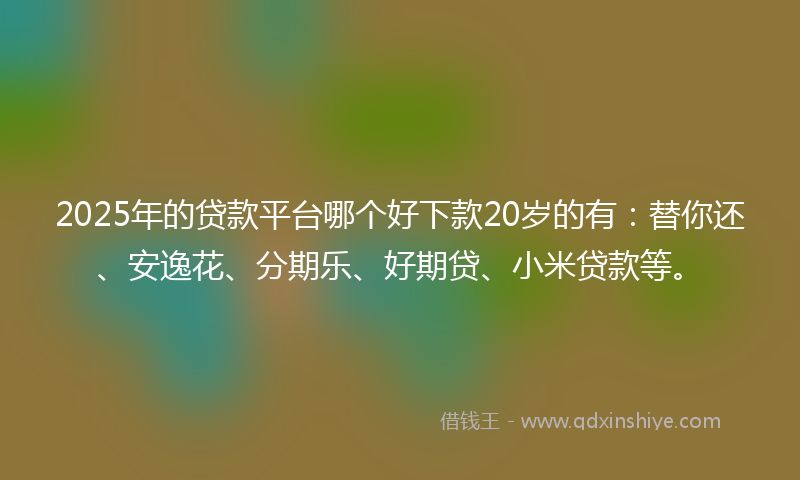 2025年的贷款平台哪个好下款20岁的有：替你还、安逸花、分期乐、好期贷、小米贷款等。