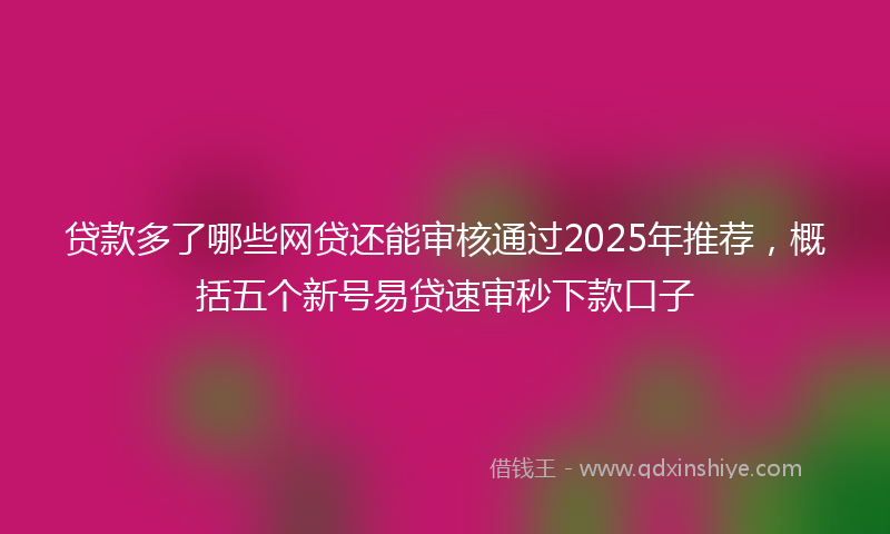 贷款多了哪些网贷还能审核通过2025年推荐，概括五个新号易贷速审秒下款口子