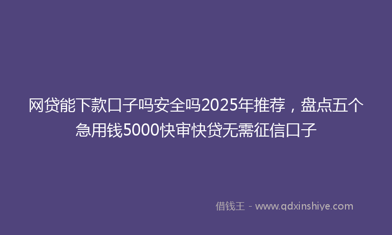 网贷能下款口子吗安全吗2025年推荐，盘点五个急用钱5000快审快贷无需征信口子