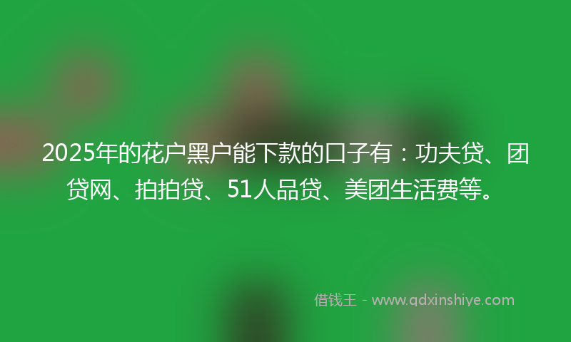 2025年的花户黑户能下款的口子有：功夫贷、团贷网、拍拍贷、51人品贷、美团生活费等。