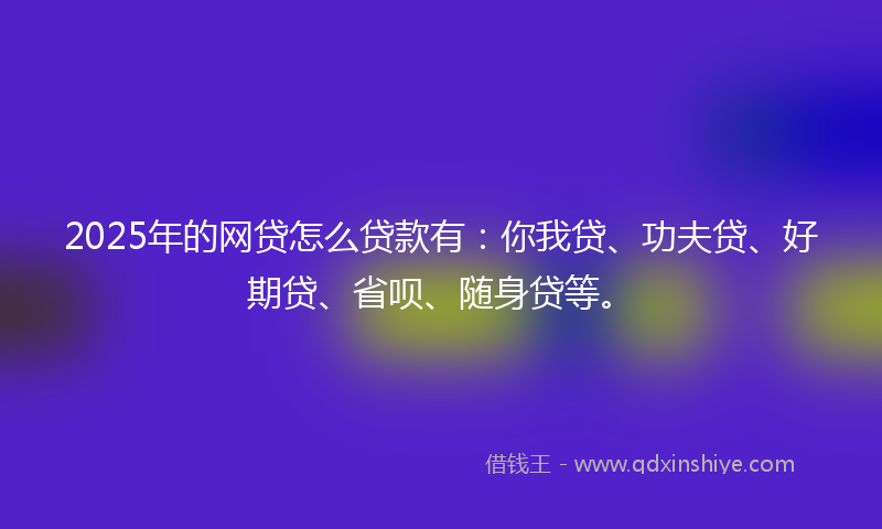 2025年的网贷怎么贷款有：你我贷、功夫贷、好期贷、省呗、随身贷等。
