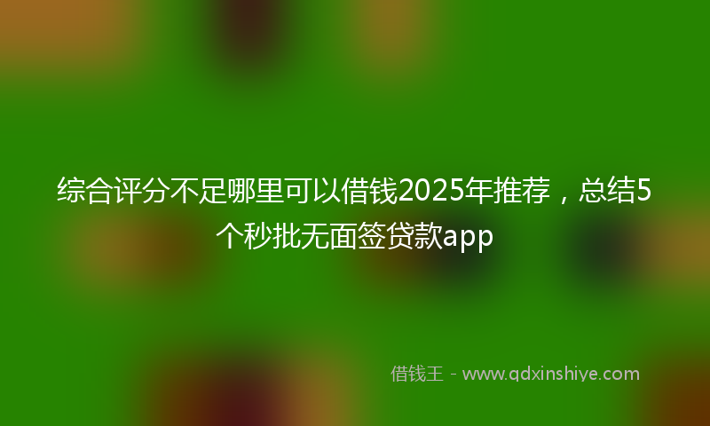综合评分不足哪里可以借钱2025年推荐，总结5个秒批无面签贷款app