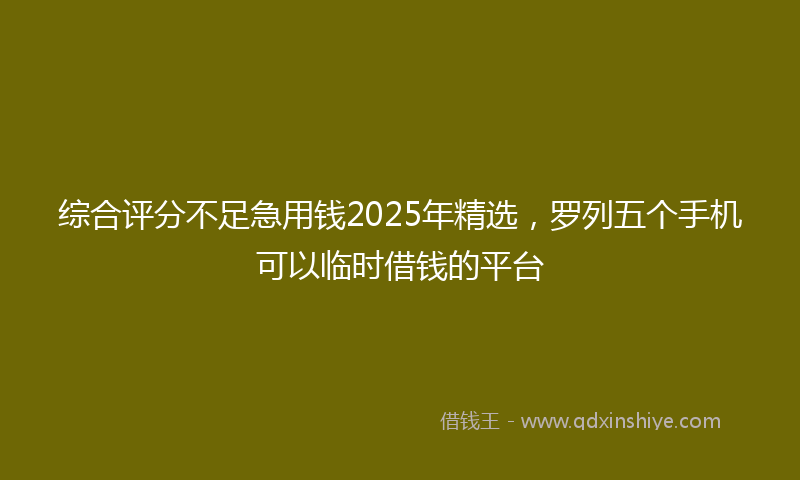 综合评分不足急用钱2025年精选，罗列五个手机可以临时借钱的平台