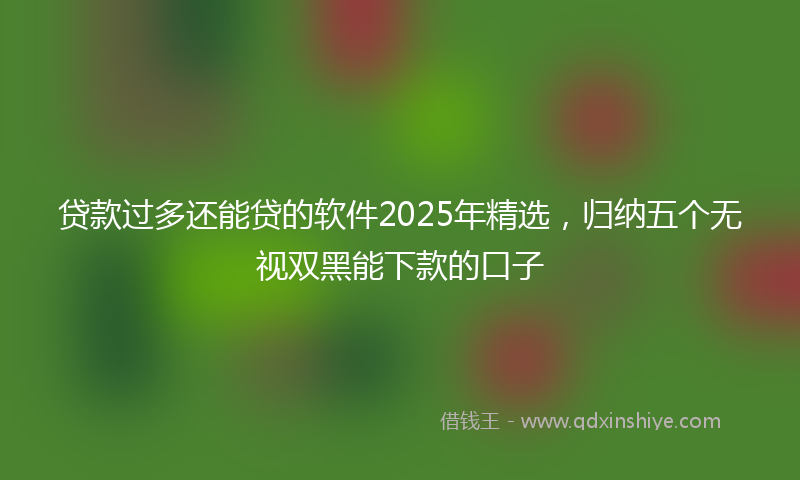 贷款过多还能贷的软件2025年精选，归纳五个无视双黑能下款的口子