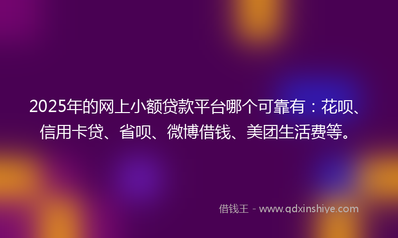 2025年的网上小额贷款平台哪个可靠有：花呗、信用卡贷、省呗、微博借钱、美团生活费等。