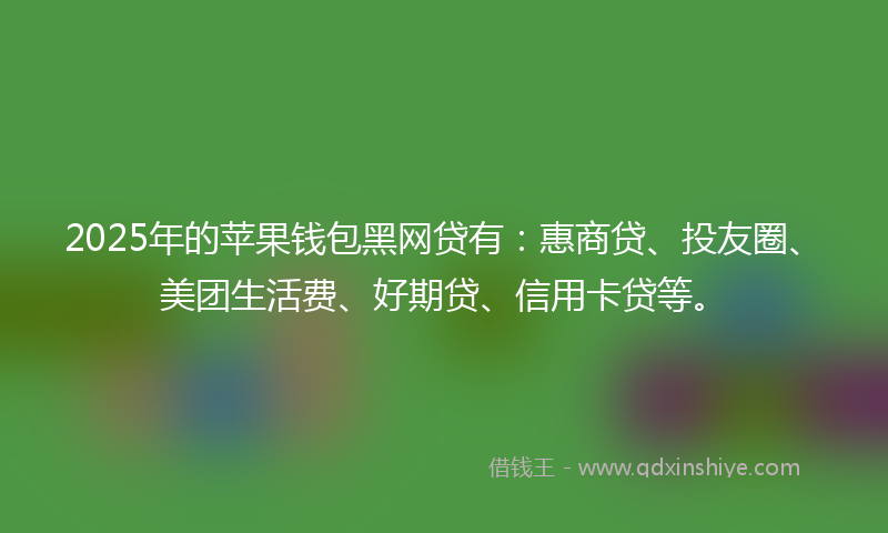 2025年的苹果钱包黑网贷有：惠商贷、投友圈、美团生活费、好期贷、信用卡贷等。