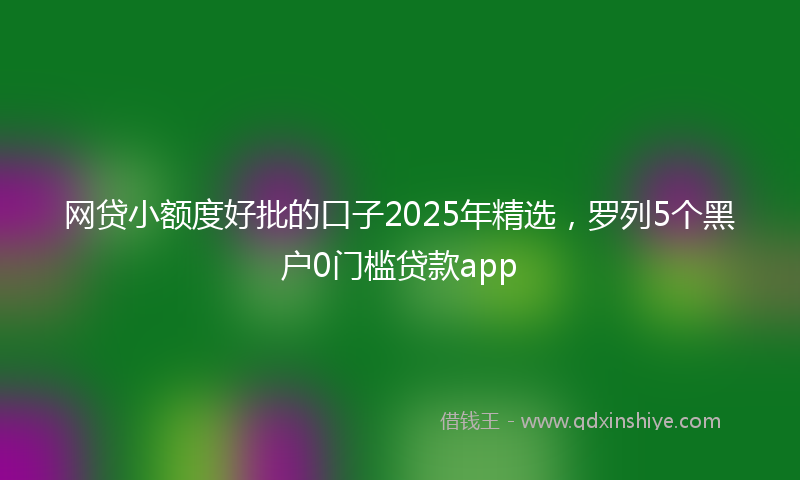 网贷小额度好批的口子2025年精选，罗列5个黑户0门槛贷款app