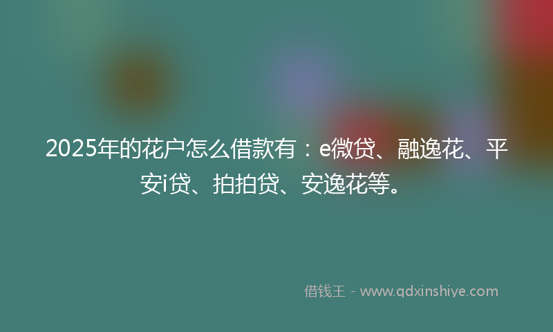2025年的花户怎么借款有：e微贷、融逸花、平安i贷、拍拍贷、安逸花等。