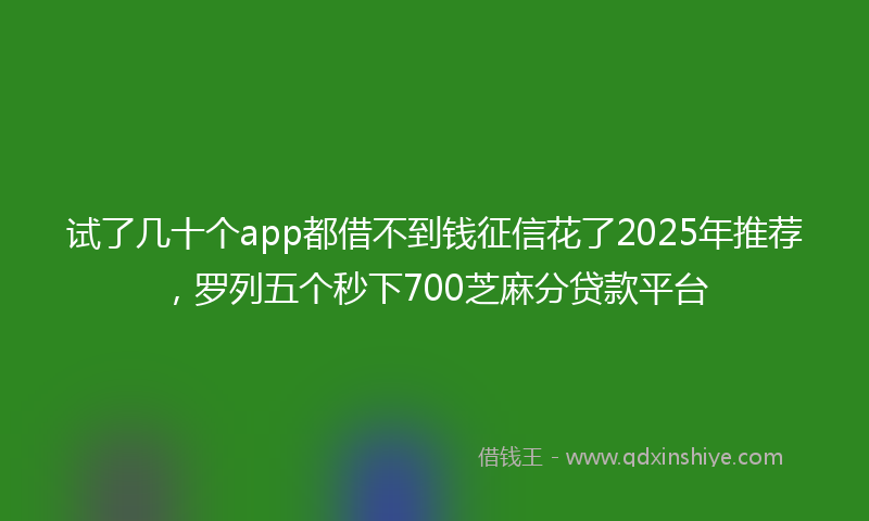 试了几十个app都借不到钱征信花了2025年推荐，罗列五个秒下700芝麻分贷款平台