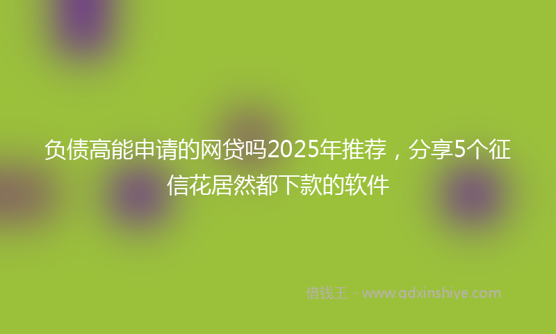 负债高能申请的网贷吗2025年推荐，分享5个征信花居然都下款的软件