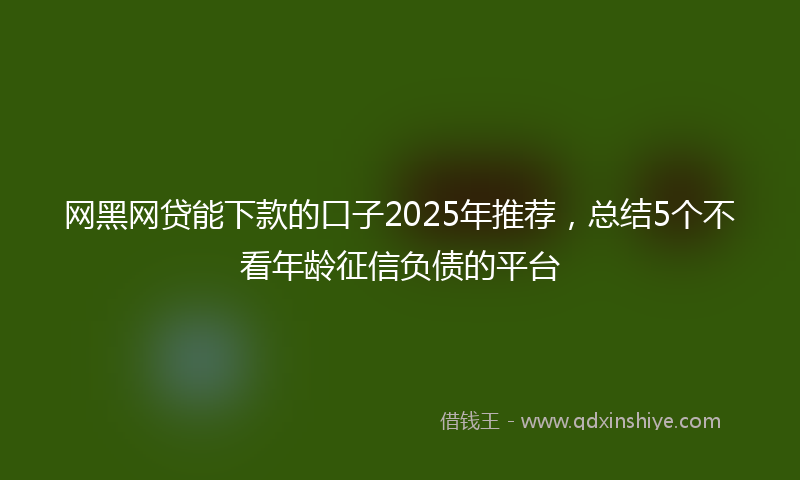 网黑网贷能下款的口子2025年推荐，总结5个不看年龄征信负债的平台