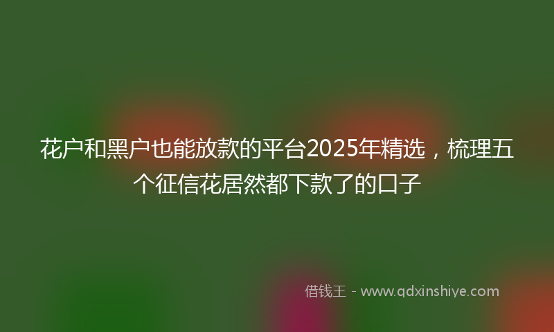 花户和黑户也能放款的平台2025年精选，梳理五个征信花居然都下款了的口子