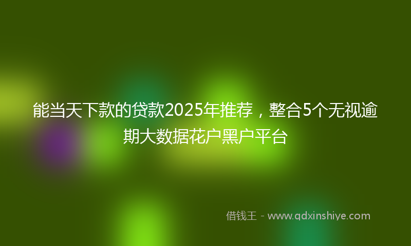 能当天下款的贷款2025年推荐，整合5个无视逾期大数据花户黑户平台