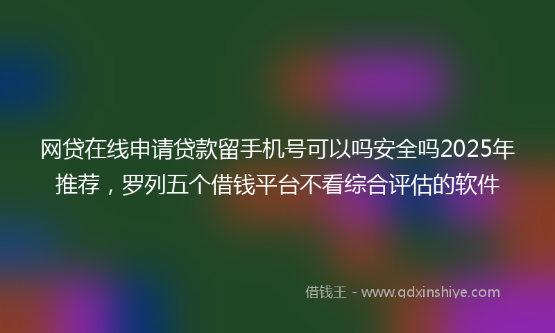 网贷在线申请贷款留手机号可以吗安全吗2025年推荐，罗列五个借钱平台不看综合评估的软件