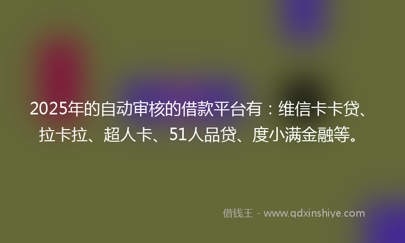 2025年的自动审核的借款平台有：维信卡卡贷、拉卡拉、超人卡、51人品贷、度小满金融等。