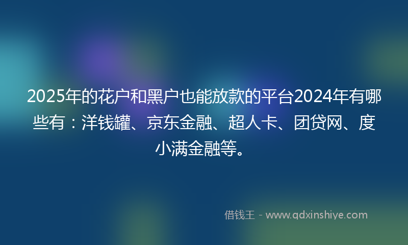 2025年的花户和黑户也能放款的平台2024年有哪些有：洋钱罐、京东金融、超人卡、团贷网、度小满金融等。