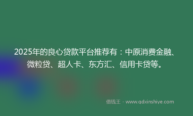 2025年的良心贷款平台推荐有：中原消费金融、微粒贷、超人卡、东方汇、信用卡贷等。