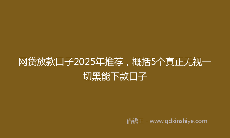 网贷放款口子2025年推荐，概括5个真正无视一切黑能下款口子