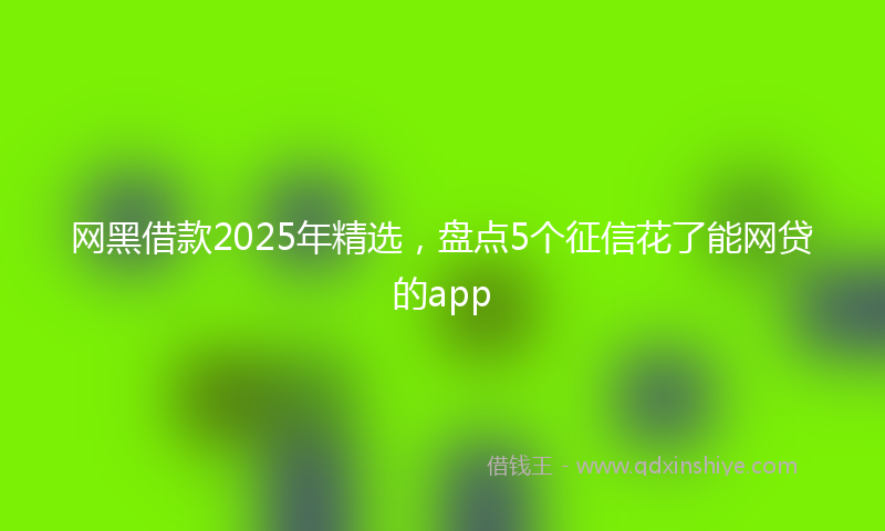 网黑借款2025年精选，盘点5个征信花了能网贷的app