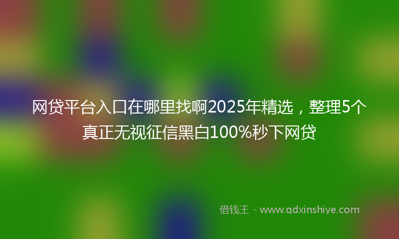 网贷平台入口在哪里找啊2025年精选，整理5个真正无视征信黑白100%秒下网贷