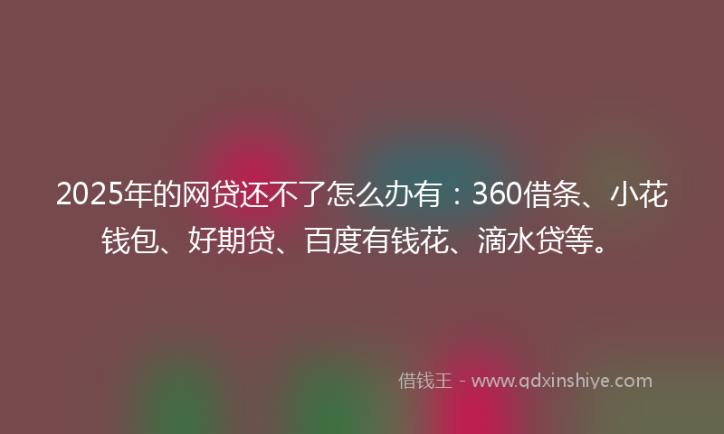 2025年的网贷还不了怎么办有：360借条、小花钱包、好期贷、百度有钱花、滴水贷等。