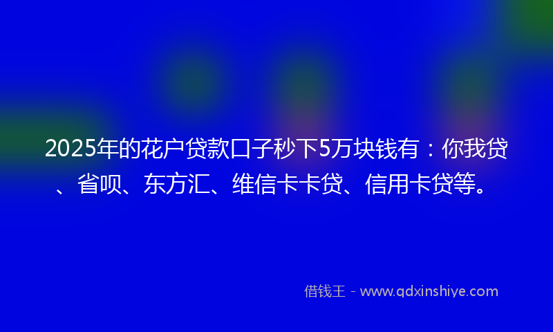 2025年的花户贷款口子秒下5万块钱有：你我贷、省呗、东方汇、维信卡卡贷、信用卡贷等。