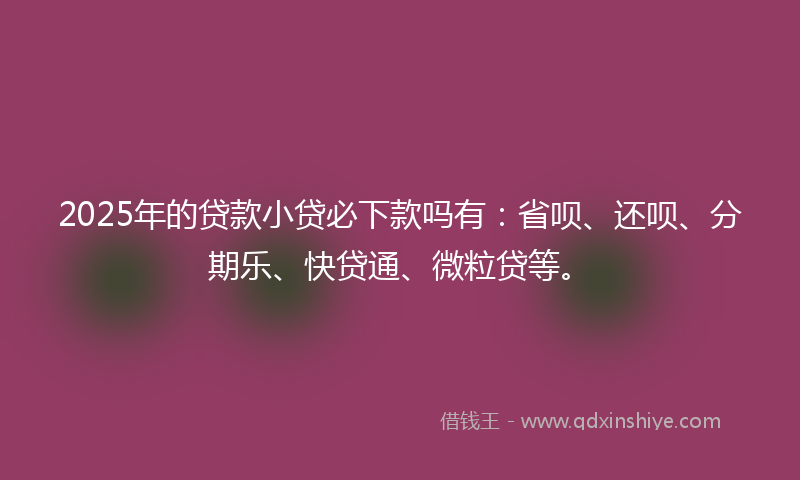 2025年的贷款小贷必下款吗有：省呗、还呗、分期乐、快贷通、微粒贷等。