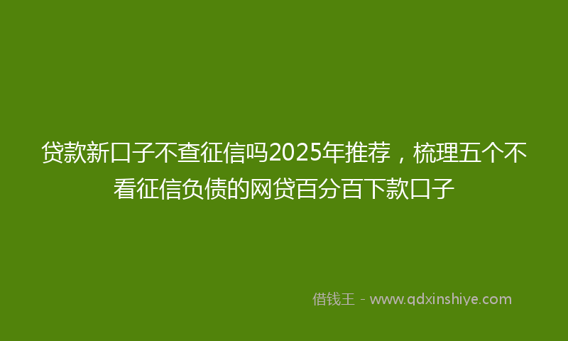 贷款新口子不查征信吗2025年推荐，梳理五个不看征信负债的网贷百分百下款口子