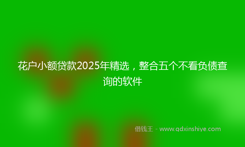 花户小额贷款2025年精选，整合五个不看负债查询的软件