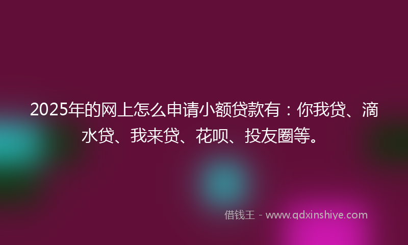 2025年的网上怎么申请小额贷款有：你我贷、滴水贷、我来贷、花呗、投友圈等。