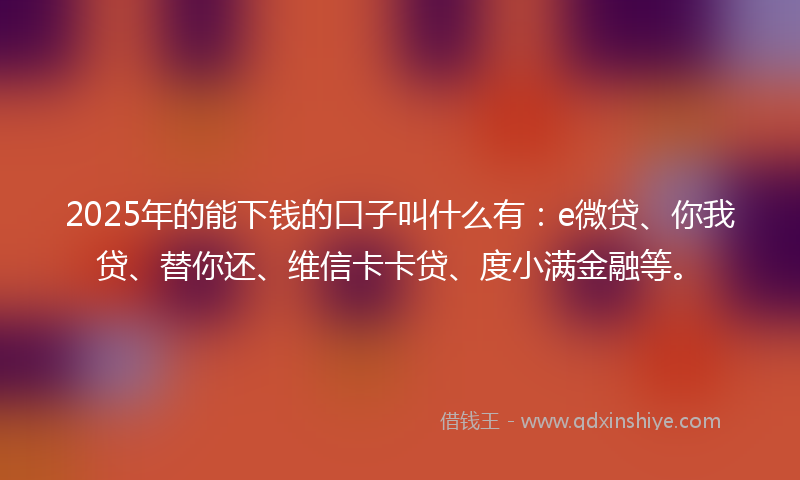 2025年的能下钱的口子叫什么有：e微贷、你我贷、替你还、维信卡卡贷、度小满金融等。